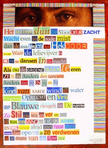 knipdicht Ciel