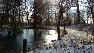 20160119_135304